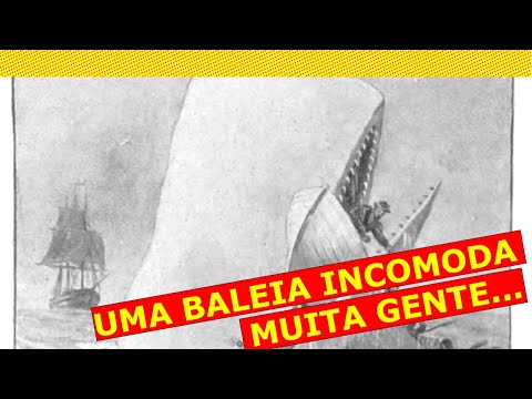 KitineteHQ 578 - Quatro Moby Dicks