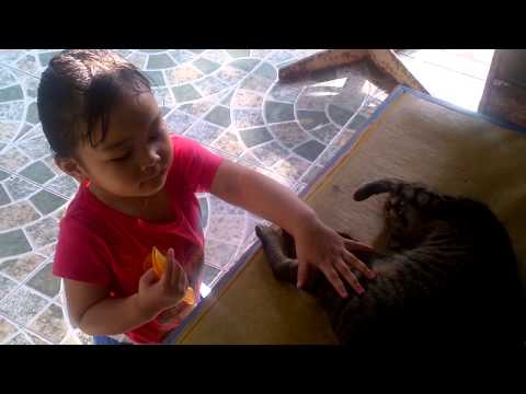 Leisha loves cat nap