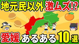 【そんなことある!?】衝撃の愛媛あるある10選|俳句が宿題＆フジの歌は県民BGM【ゆっくり解説】