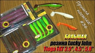 Ловля щуки на тиогу фет 4 5 дюйма