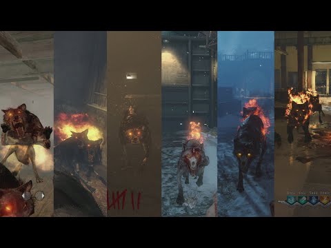 Call of Duty Zombies Hellhound Round Evolution (WAW,BO1,BO2,BO3,BO4)