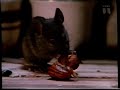 Norsk Julefilm Med Mus