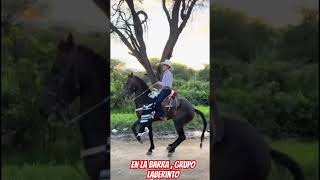 En la barra , grupo laberinto