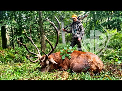 Jagd auf reife Rothirsche in der Brunft - Hunter Brothers - Trailer