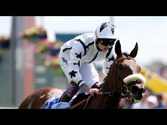 Thumbnail for Post ID: xg1cH1W1H2o