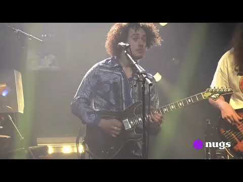 Dogs in a Pile 12/31/25 Woodstock NY