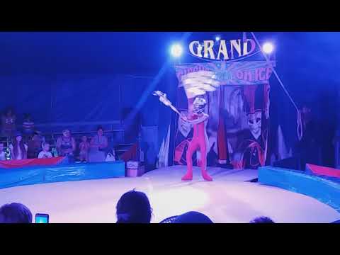 CIRKS UZ LEDUS. 2 DAĻA