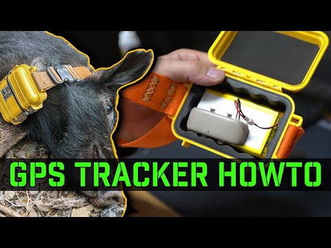 , title : 'How to build a GPS Tracker for Feral Hogs for under $100'