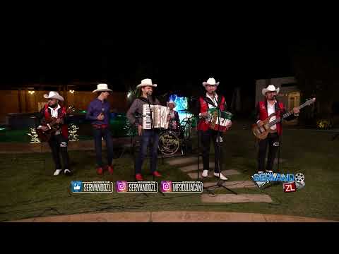 Los Padrinos Ft. Alfonso Payan y Asociados - Pluma y Libreta (En Vivo 2023)