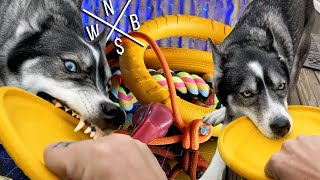 9 Pack of Dog Toys for Aggressive Chewers - Unboxing & Revie