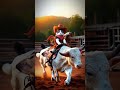 November 25 2024 Cat Raiding ️ Badshah Songs Viral 27m