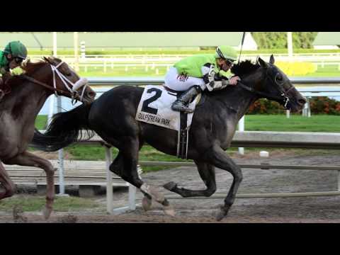 That Handicapping Show: The Donn Handicap