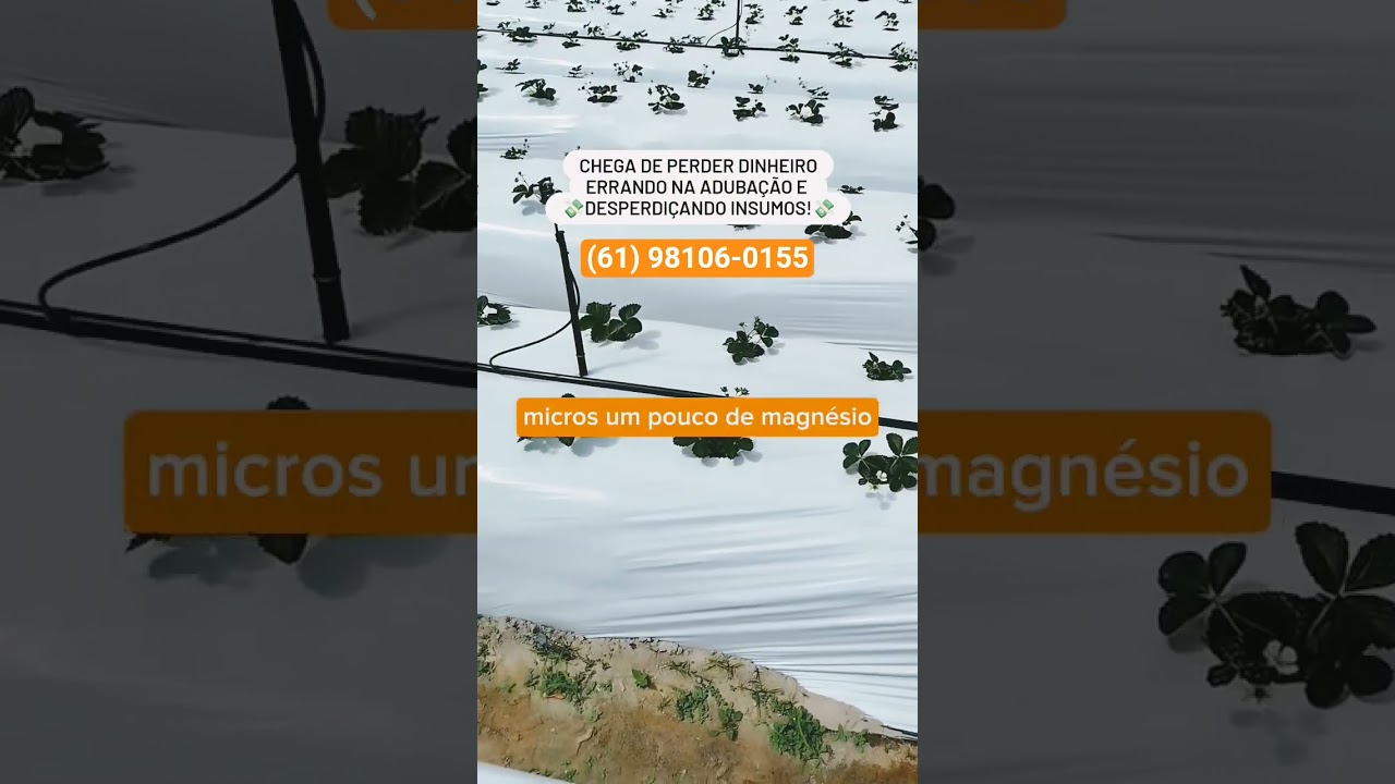 Eu aprendi muito