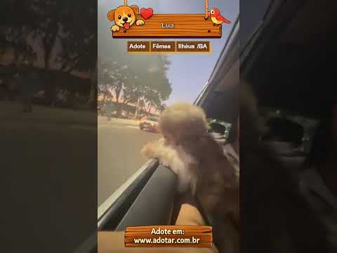 Vídeo de Lua