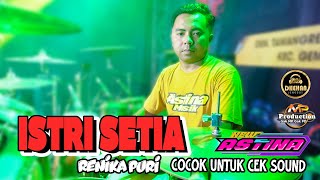Download lagu NEW ASTINA ISTRI SETIA - RENIKA PURI COCOK UNTUK CEK SOUND | NEW ASTINA LIVE GEMARANG - DHEHAN PRO mp3
