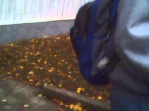 Lunca Moldovei langa Targu Neamt