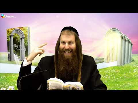 [112] Connecting in the Amidah | GRATITUDE || Rabbi Yonatan D. Galed