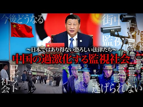 youtube-社会・政治・ビジネス記事2026/01/23 16:33:15