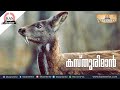കസ്തൂരിമാൻ | Himalayan Musk Deer| Ezhuthola | KeralaPSC| SSC| KAS Mentor