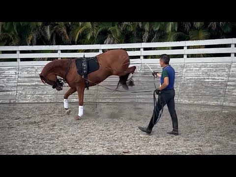 Dr. Cesar Parra - Uncovering this Olympic Trainer’s Methods