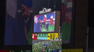 強いぜ！ヤクルトスワローズハイライト
