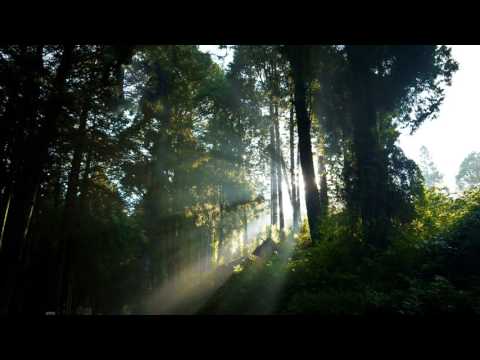 Thaum Tseem Muaj Koj!