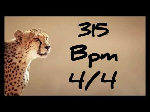 315 Bpm Metronome 4/4