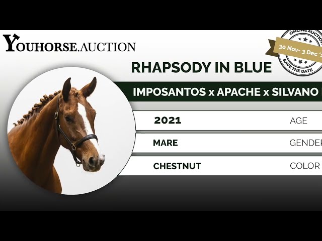 Rhapsody in Blue homevideo