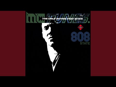 The Only Rhyme That Bytes (Extended Mix)