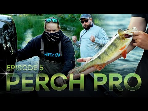 PERCH PRO 10 - Episode 5