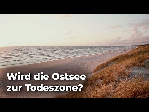Todeszone Ostsee?  ...dank Klimawandel - Clixoom nature