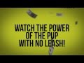 Scott & Brendo | No Leash (Lyric Video) 