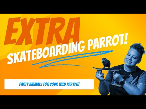 Promotional video thumbnail 1 for Animal Party Entertainment with Kiwi, The Skateboarding Parrot
