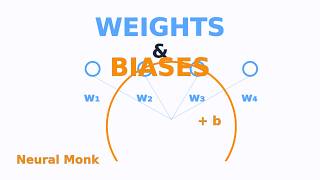 Weights and Biases Explained