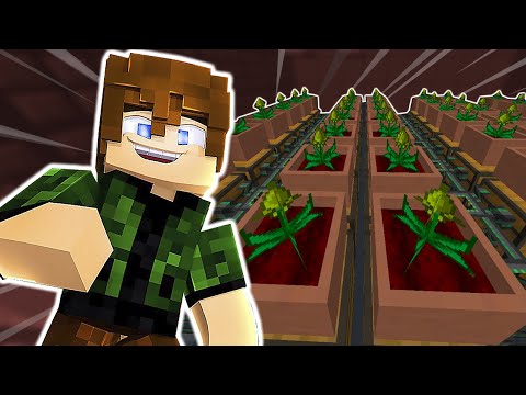 Nofaxu - FARM GIGANTE DO MYSTICAL AGRICULTURE!!!! - NonoFactory 2 #20 (Minecraft 1.16 + Mods)