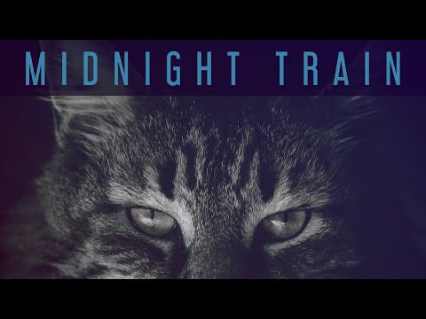 Max Freegrant & Slow Fish - Midnight Train (Official Video)