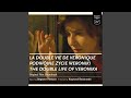 Van den Budenmayer: Concerto en mi mineur (SBI 152 - Version de 1798)