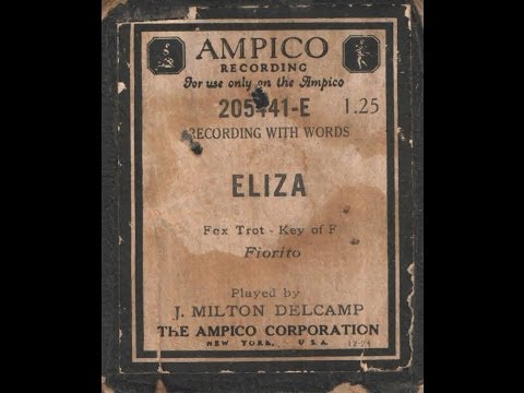 Eliza / Fox trot / Fiorito / Ampico roll 205441-E / Played by J. Milton Delcamp / Autonola Breyer