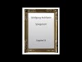 Wolfgang Hohlbein - Spiegelzeit - Kapitel 8