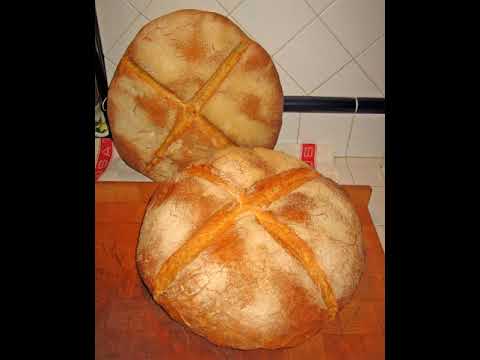 download lagu mp3 mp4 Pugliese Bread Wikipedia, download lagu Pugliese Bread Wikipedia gratis, unduh video klip Pugliese Bread Wikipedia