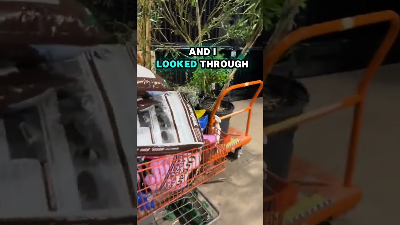 How I Scored Discounted Soil at Home Depot with This Simple Hack