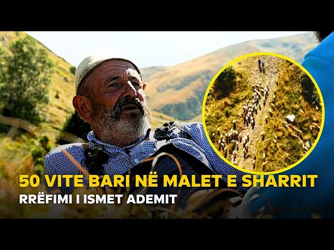 50 vite në MALET e SHARRIT, bariu ISMET ADEMI me Marakun e PËRPARIM HASANIT