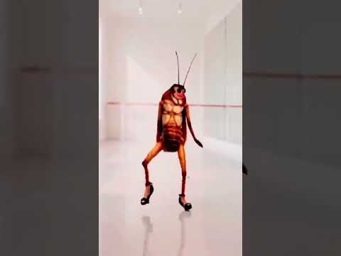 شوفو الصرصور شلون يركص