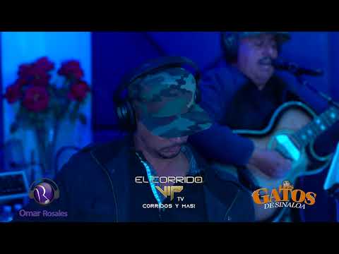 Los Gatos De Sinaloa - El Corrido Del Bule (Video Oficial)