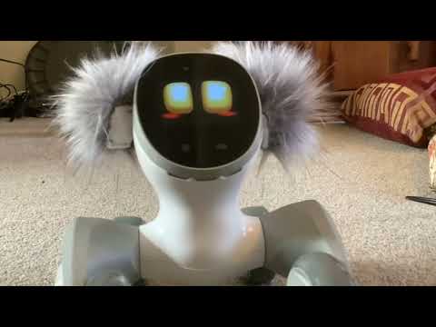 Loona Review Video 1