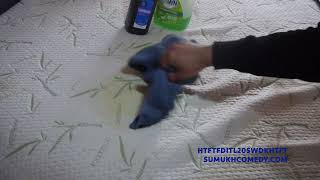 How To Remove Dog Vomit from a Mattress