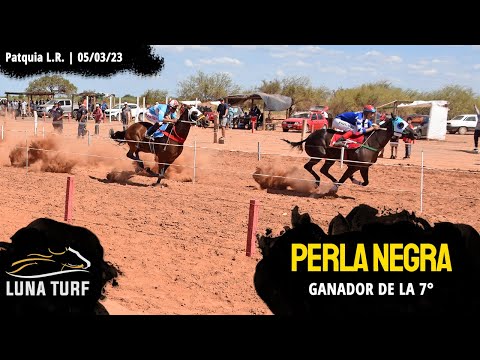 HIP. "DIFUNTA CORREA" PATQUIA L.R. || 05/03/2023 :: PERLA NEGRA; SIRHOS; QUE DIRÁN