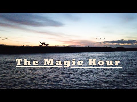 The Magic Hour on the Rio Grande  - Tierra Del Fuego - Sea Trout