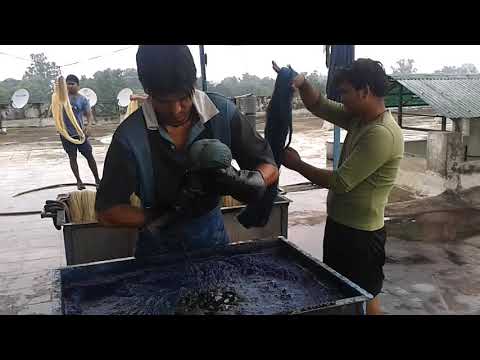 Natural Indigo Blue Dyes