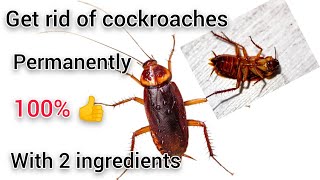 Natural way to get rid of cockroaches permanently